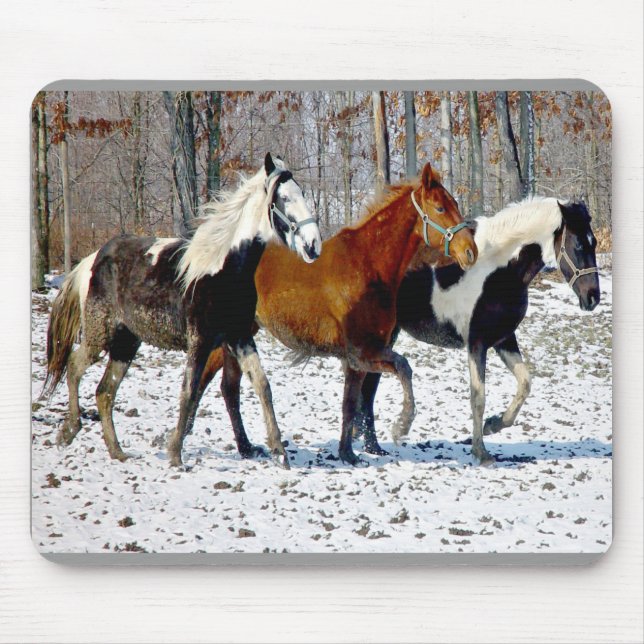 Horse Trio Mousepad (Front)
