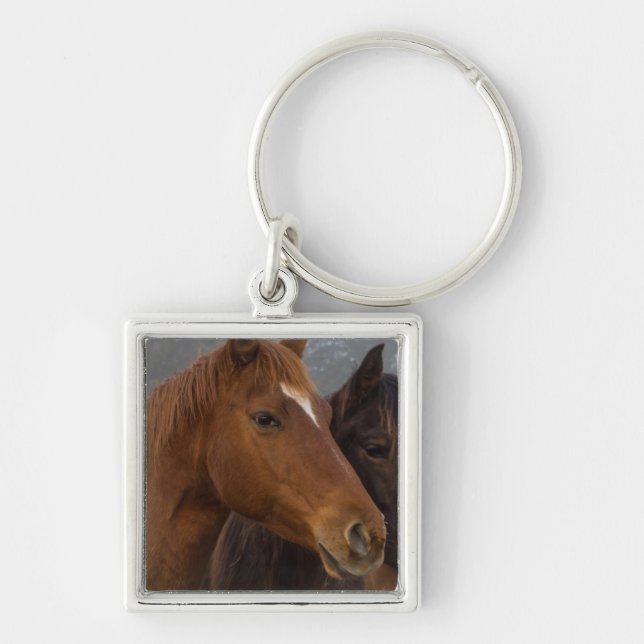 Horse Triplets Key Ring (Front)