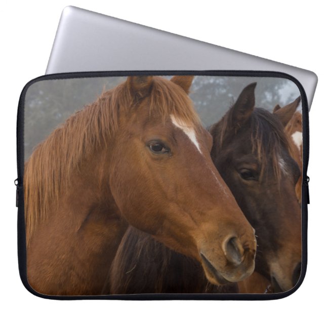 Horse Triplets Laptop Sleeve (Front)