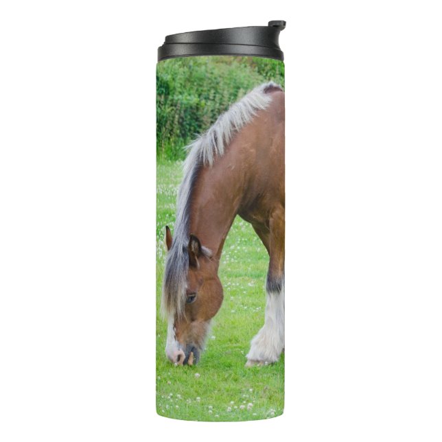 Horse tumbler (Rotated Left)