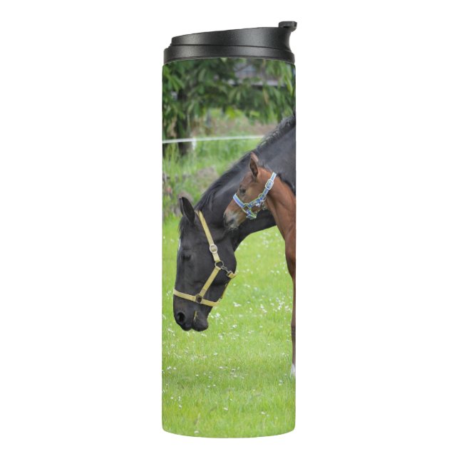 Horse tumbler (Rotated Left)