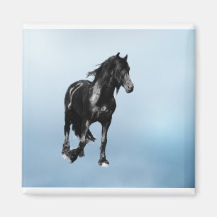 Horse turning suddenly magnet