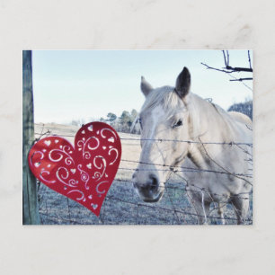 HORSE Valentine heart Holiday Postcard
