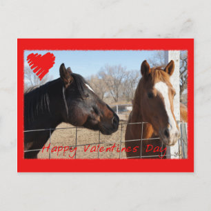 Horse Valentine VI Holiday Postcard
