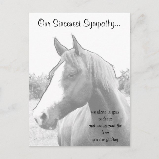 Horse Veterinarian Sympathy Postcard (Front)