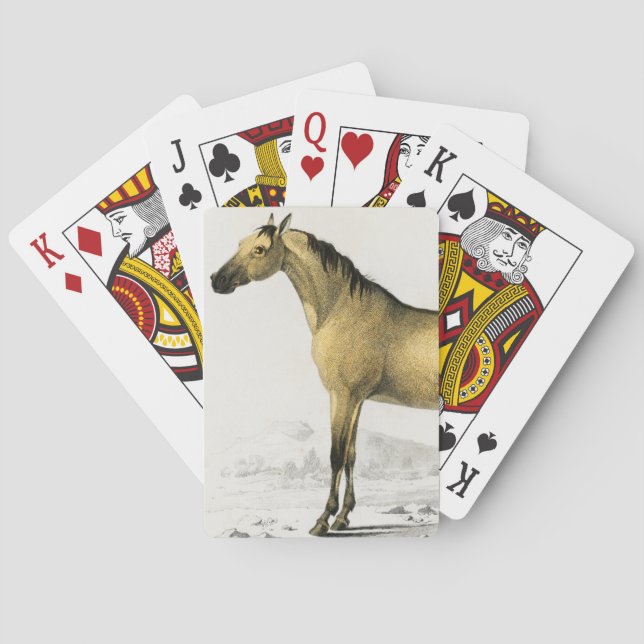 Horse vintage illustrated playing cards (Back)