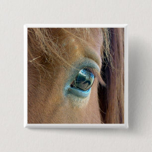 Horse Vision 15 Cm Square Badge