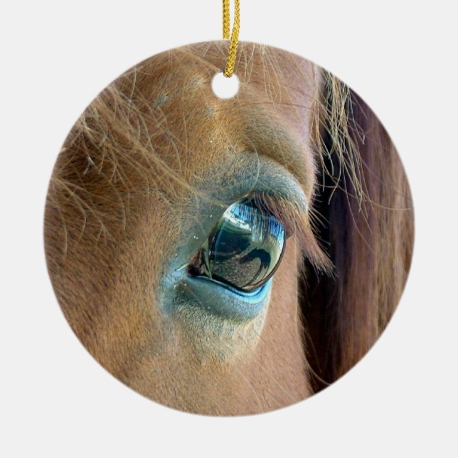 Horse Vision Ornament (Front)