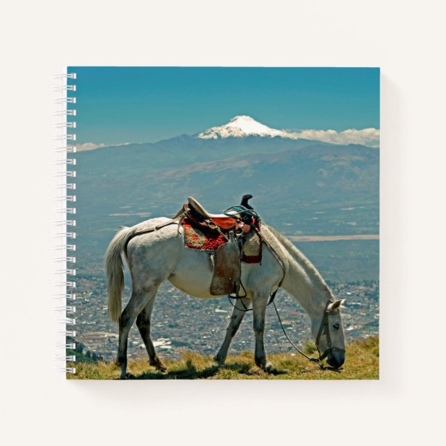 Horse & volcano, Quito, Ecuador Notebook (Front)