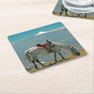 Horse & volcano, Quito, Ecuador Square Paper Coaster