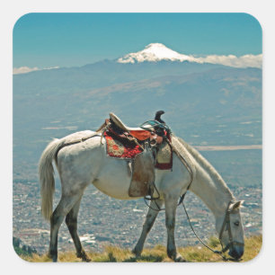 Horse & volcano, Quito, Ecuador Square Sticker