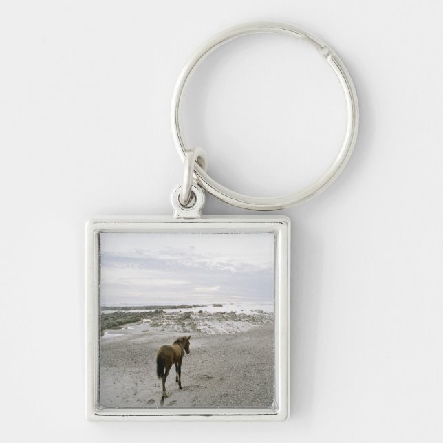 Horse walking on the beach key ring (Front)