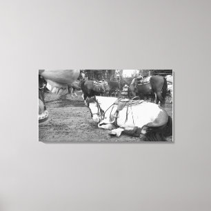 Horse Wall Art Black and White Photobomber