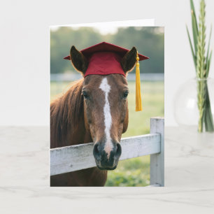 Horse Wearing a Red Graduation Cap Card