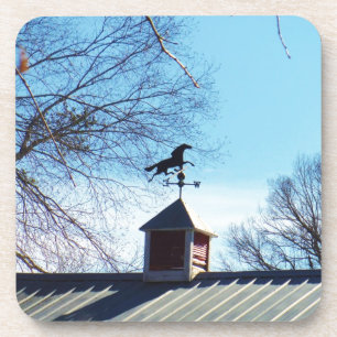 Horse Weather Vane Blue Sky Coaster