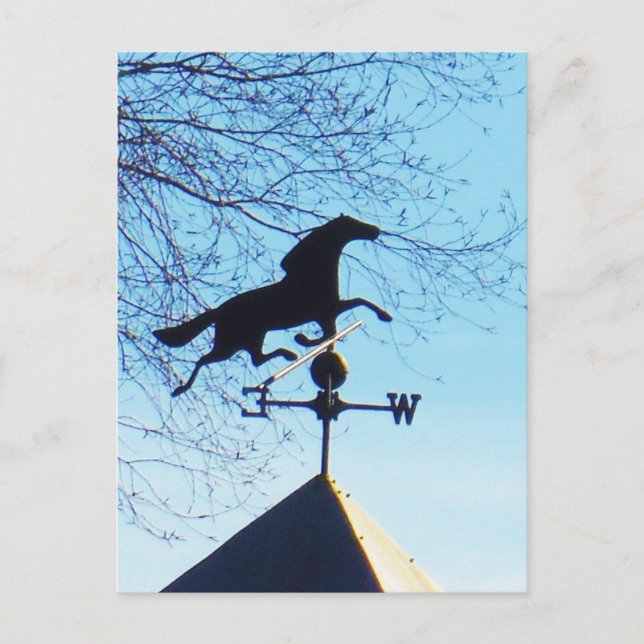 Horse Weather Vane Blue Sky Postcard (Front)