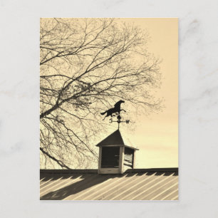 Horse Weather Vane sepia Postcard
