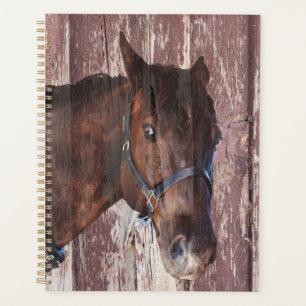 Horse & western riding. Look into his eyes. Planner