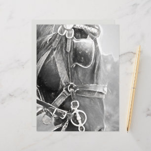 Horse Western Rustic Black And White Vintage Art