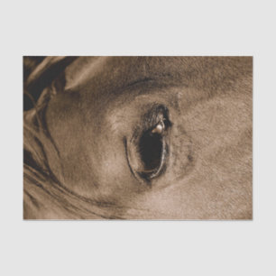 Horse Western Rustic Vintage Decoupage Tissue Paper