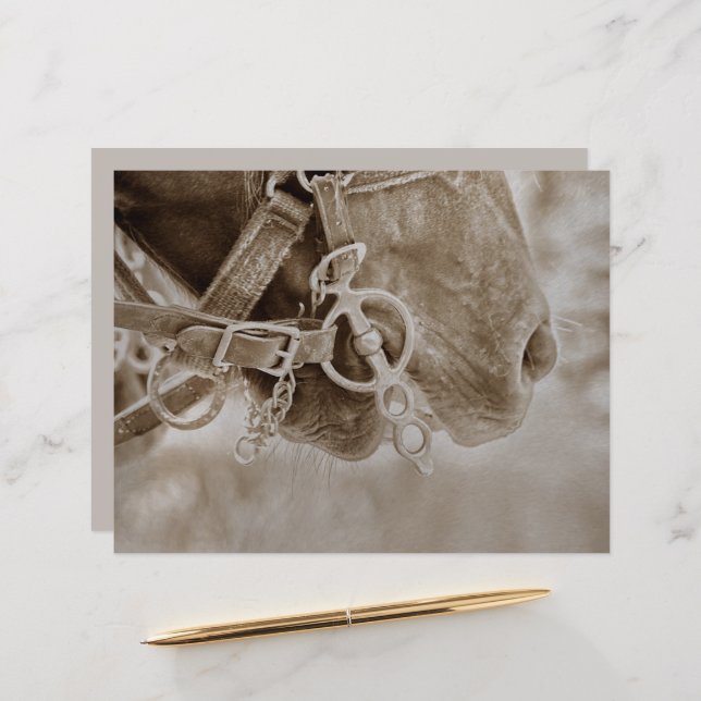 Horse Western Vintage Sepia Rustic Decoupage (Front/Back In Situ)