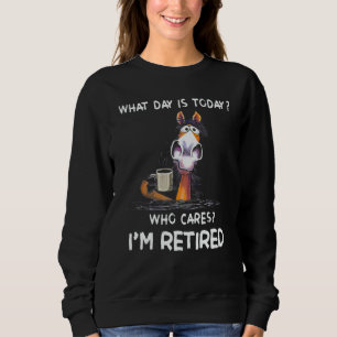 Horse What Day Is Today Who Cares I'm Retired Sweatshirt
