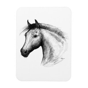 Horse: White Magnet