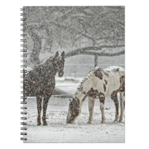 horse winter snow farm ranch animals snowy frozen spiral notebook