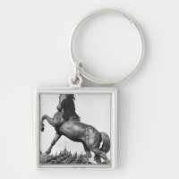 Horse with a harrow