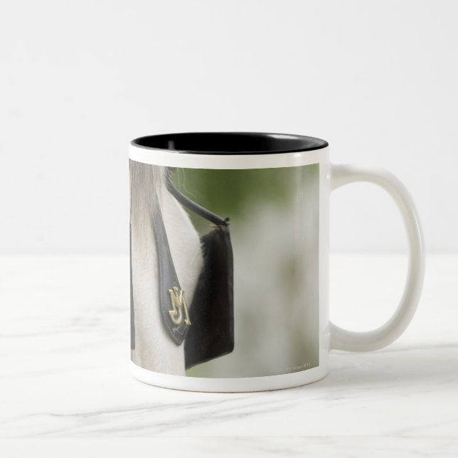 Horse with blinders Two-Tone coffee mug (Right)
