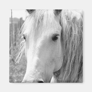 Horse with Grass Magnet