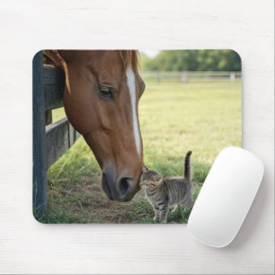 Horse with Kitten in a Farm Pasture Mouse Pad