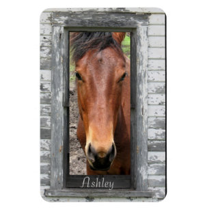 Horse with name magnet