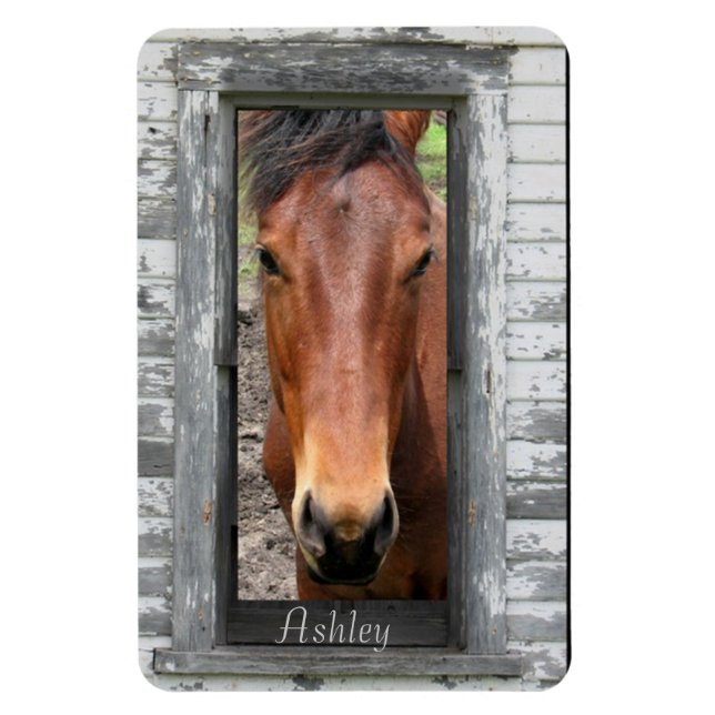 Horse with name magnet (Vertical)