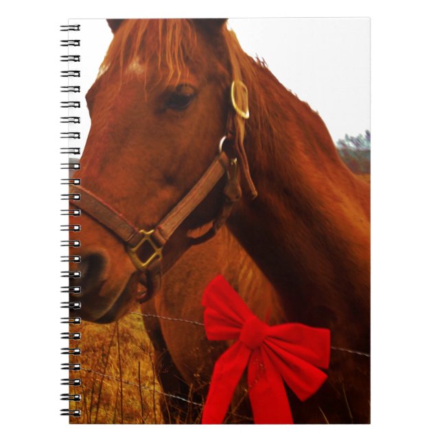 Horse with Red Bow Notebook (Front)