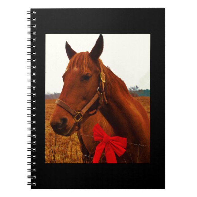 Horse with Red Bow Notebook (Front)