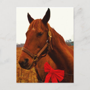 Horse with Red Bow Postcard
