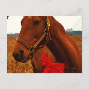 Horse with Red Bow Postcard