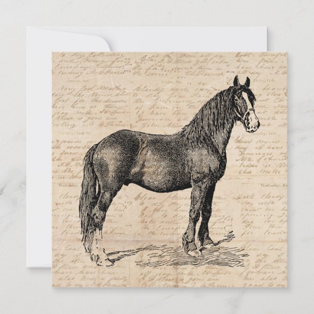 Horse with Script Paper Card (Front)
