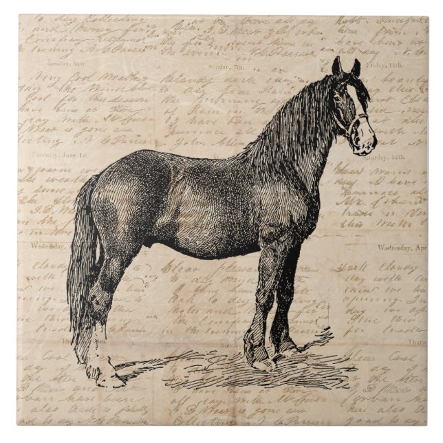 Horse with Script Paper Tile (Front)