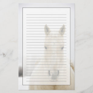 Horse with snow on head stationery