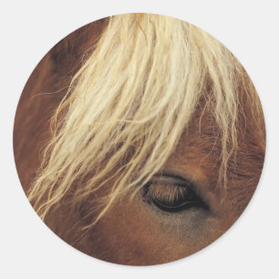 Horse with White Mane Classic Round Sticker