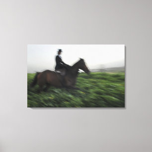 Horseback riding in green field. Woman horseback Canvas Print