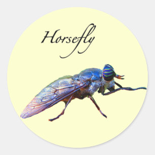 Horsefly Classic Round Sticker