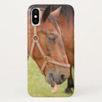 Horsehead 002