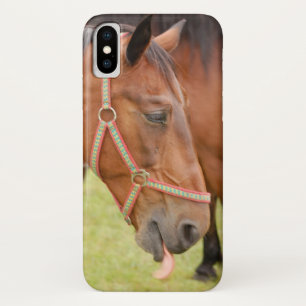 Horsehead 002 iPhone x case