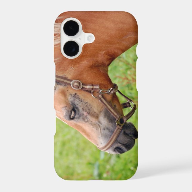 Horsehead 003 (Back)