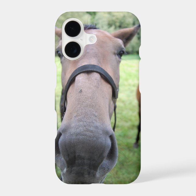 Horsehead 004 (Back)