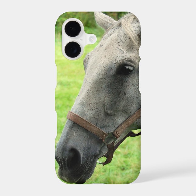 Horsehead 005 (Back)
