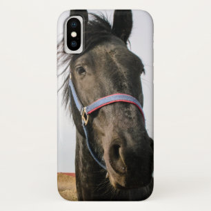 Horsehead 007 iPhone x case